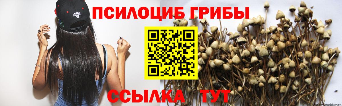 Псилоцибиновые грибы прущие грибы  Вход с VPN  Костомукша 